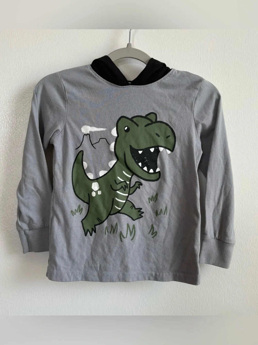 The Children's Place Boys 3T Gray Hooded Long Sleeve T-Shirt Dinosaur Graphic